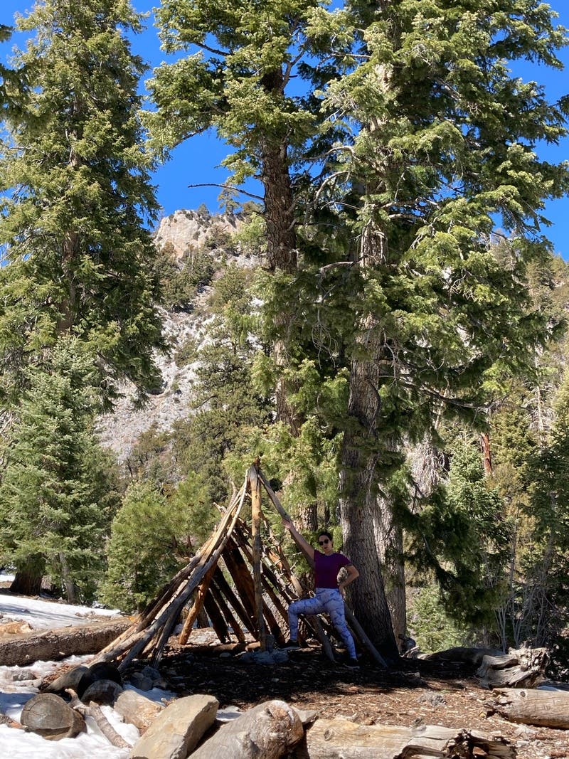 review thumbnail images 2