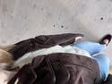 review thumbnail images 6