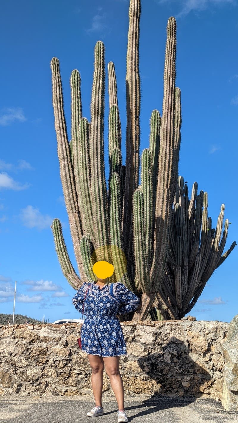 review thumbnail images 13