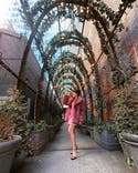 review thumbnail images 13