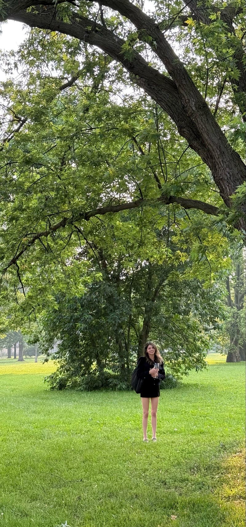 review thumbnail images 11