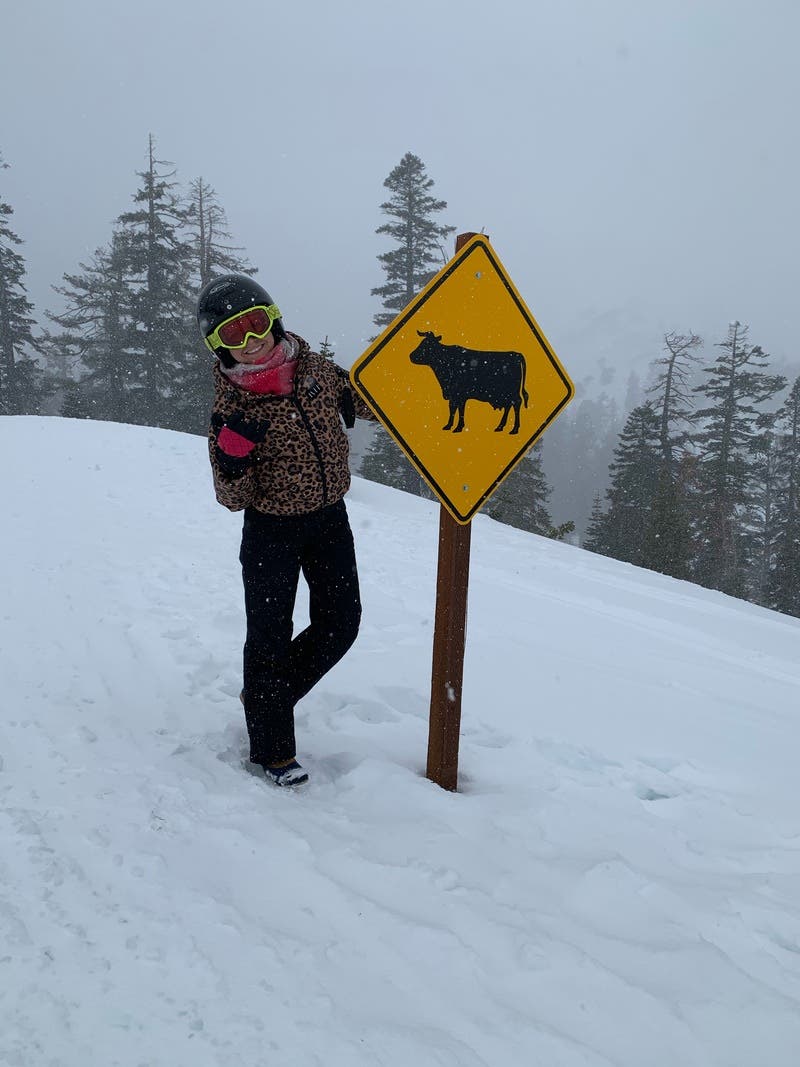 review thumbnail images 6