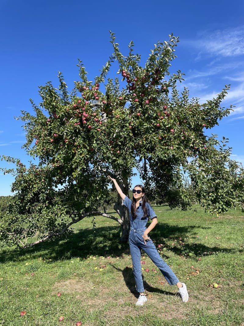 review thumbnail images 14