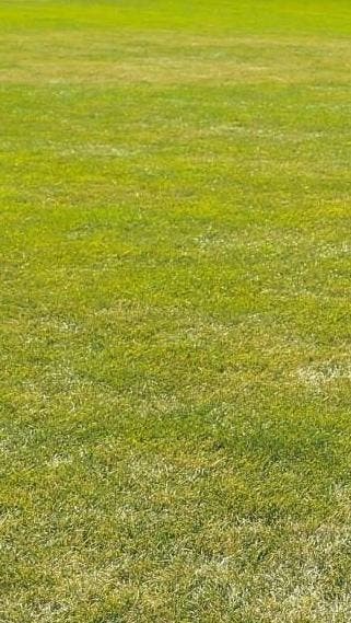 review thumbnail images 17