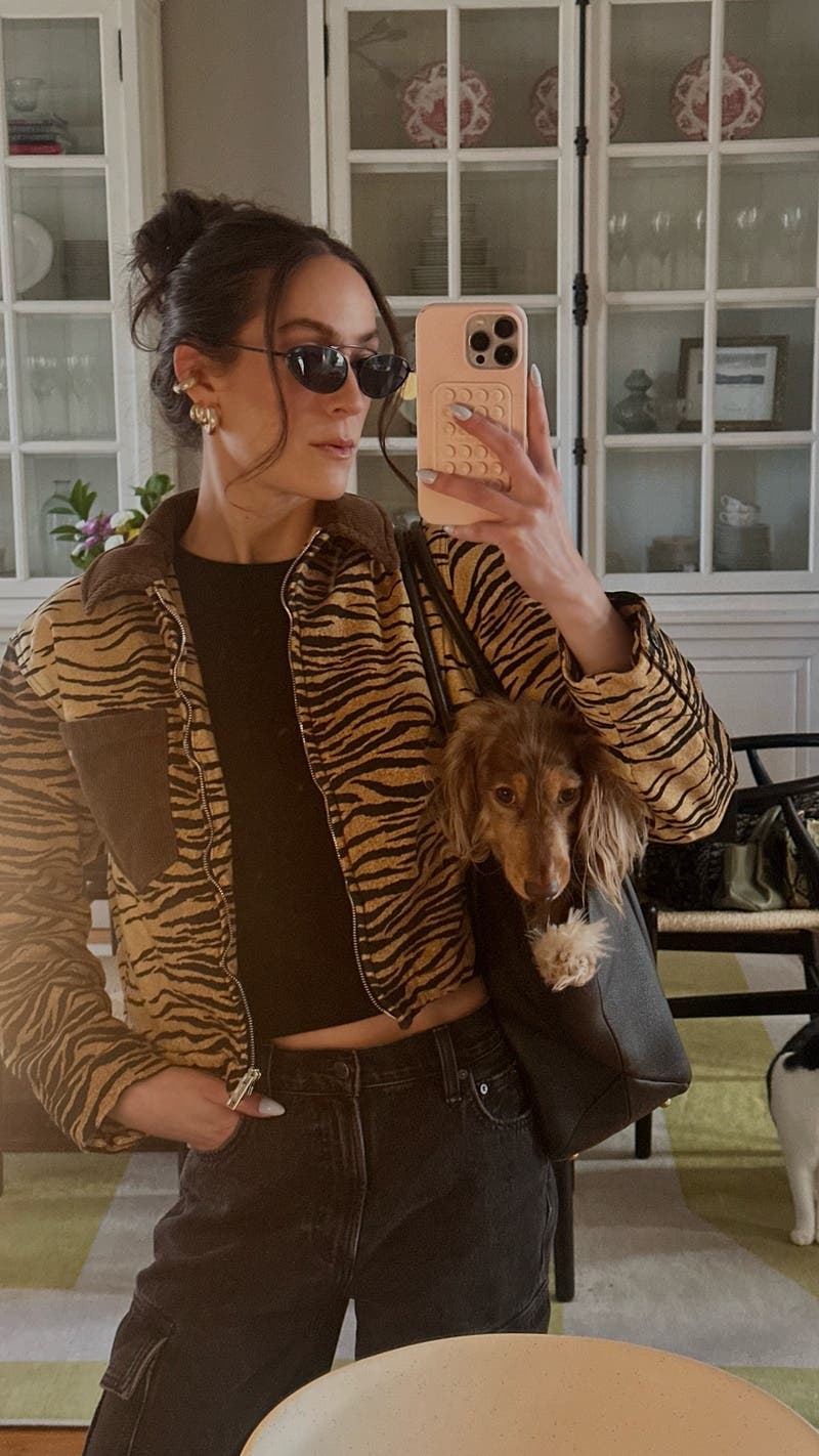 Tiger Print Stretch Gabardine Blouson Jacket by Moschino Jeans