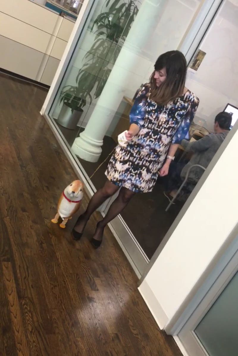 Member review photo